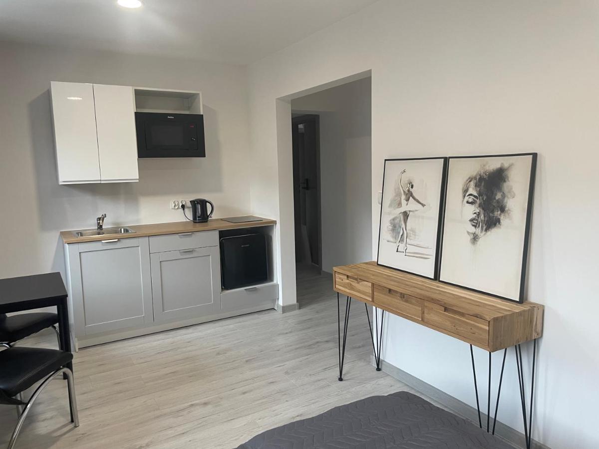 Apartamenty Wisla Centrum Bagian luar foto